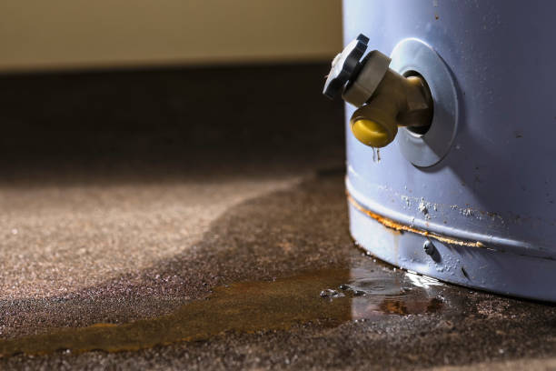 Best Water damage restoration process  in Largo, FL