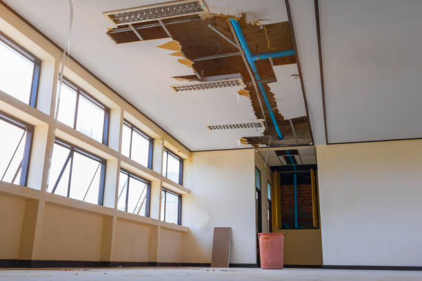 Water damage restoration insurance claims in Largo, FL