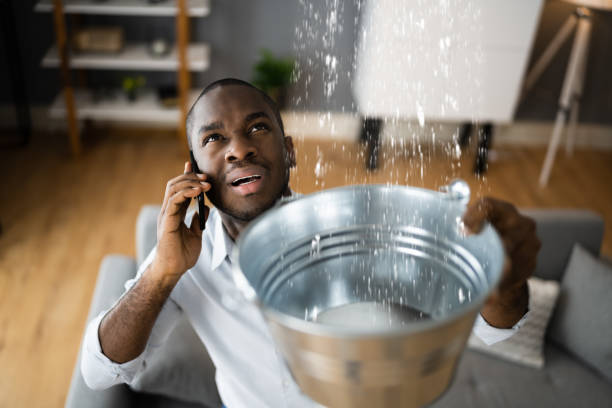Best Local water damage restoration  in Largo, FL
