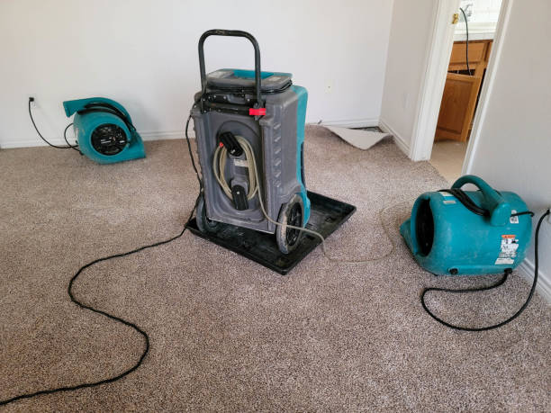 Best Sewage cleanup and water damage restoration  in Largo, FL
