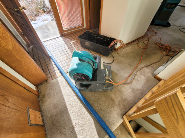 Best Water damage cleanup near me  in Largo, FL