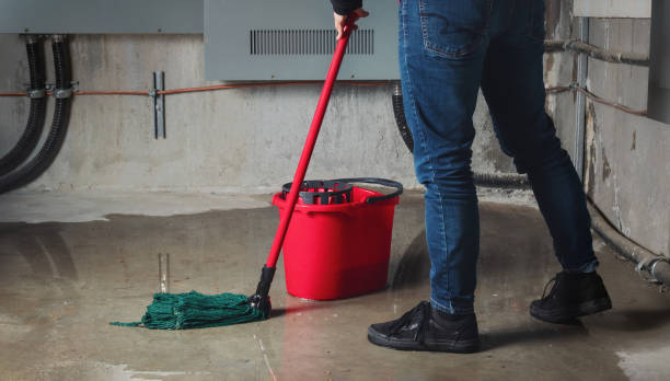 Carpet water damage restoration in Largo, FL