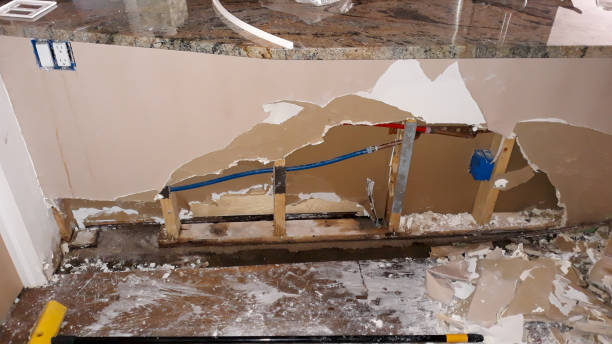 Best 24/7 water damage repair  in Largo, FL