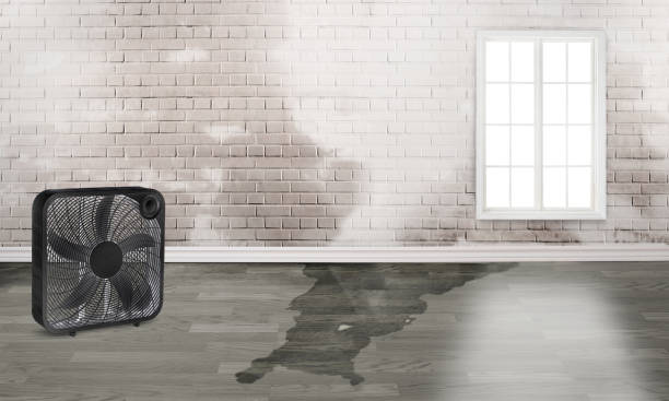 Best Fire Damage Restoration  in Largo, FL