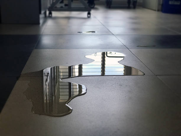Best Water damage restoration near me  in Largo, FL