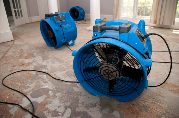 Water damage restoration process in Largo, FL