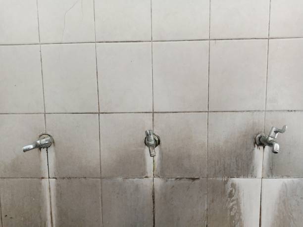 Best Residential water damage restoration  in Largo, FL
