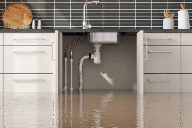 Best Emergency water extraction  in Largo, FL