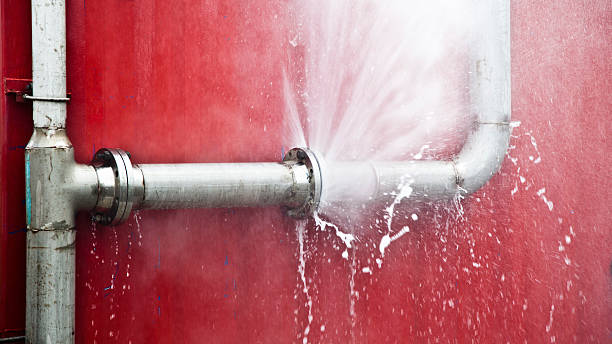 Best Carpet water damage restoration  in Largo, FL